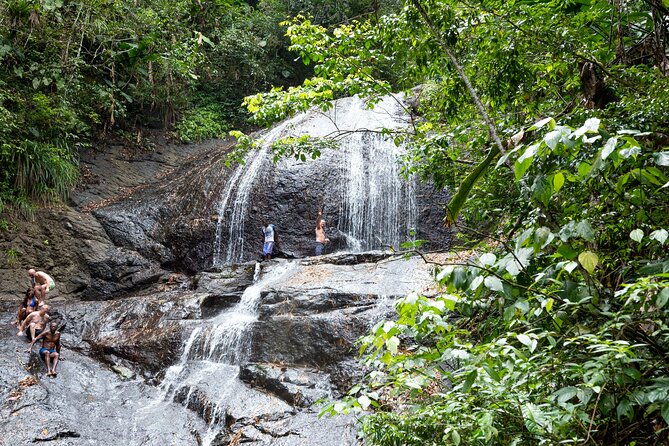 Rainforest Hike and Waterfall Safari - Key points at a glance