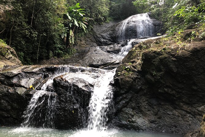 Rainforest Hike and Waterfall Safari - A west-coast ride from Gros Islet