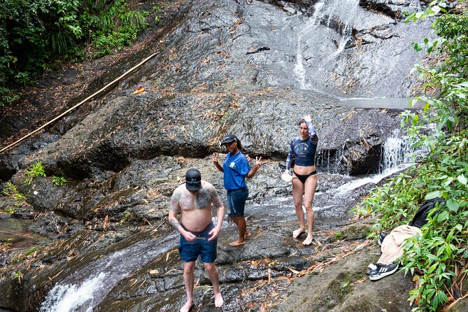 Rainforest Hike and Waterfall Safari - What the $66.67 price really buys