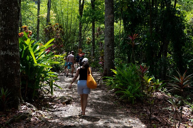 Rainforest Hike and Waterfall Safari - Practical details before you go