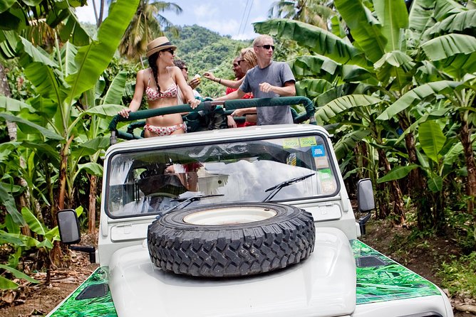 Rainforest Hike & Waterfall Safari St. Lucia From Castries - Twenty minutes at Morne Fortune