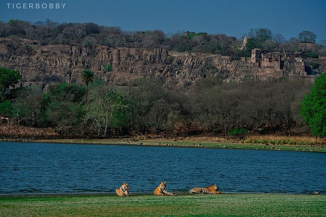 Ranthambore National Park - The quiet side of Ranthambore
