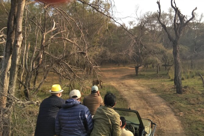 Ranthambore National Park - Timing, weather, and communication