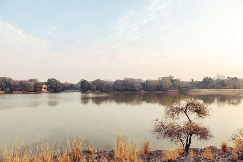 Ranthambore National Park: Safari Ticket with Pickup Option - What the $27 price delivers