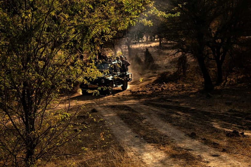 Ranthambore National Park: Safari Ticket with Pickup Option - The practical rhythm of a day in the park