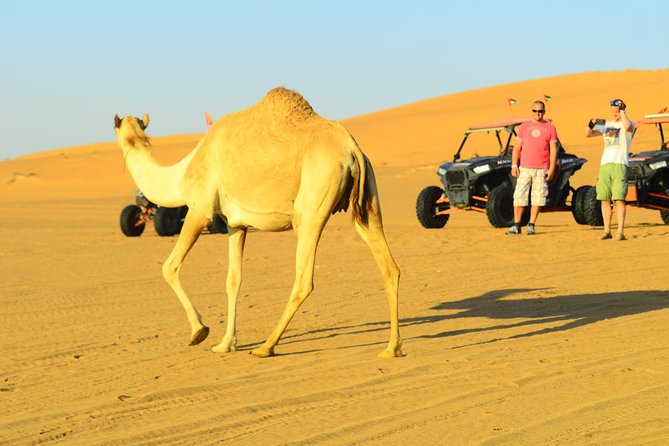 Ras Al Khaimah: Afternoon Desert Safari and BBQ Dinner - Health, comfort, and who should skip it