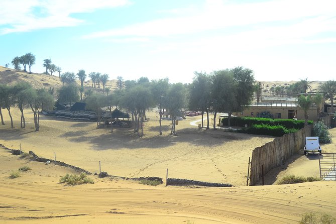 Ras Al Khaimah: Afternoon Desert Safari and BBQ Dinner - The camel farm and first look at desert life