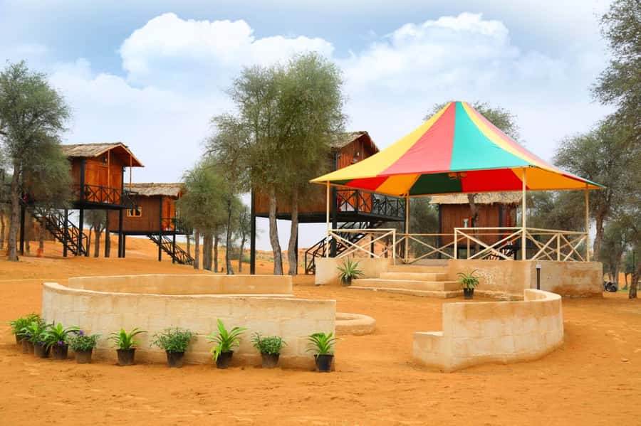 Ras Al Khaimah: Half-Day Desert Safari with Dinner - Fire, Tannourah, and Belly Dancing After Dark