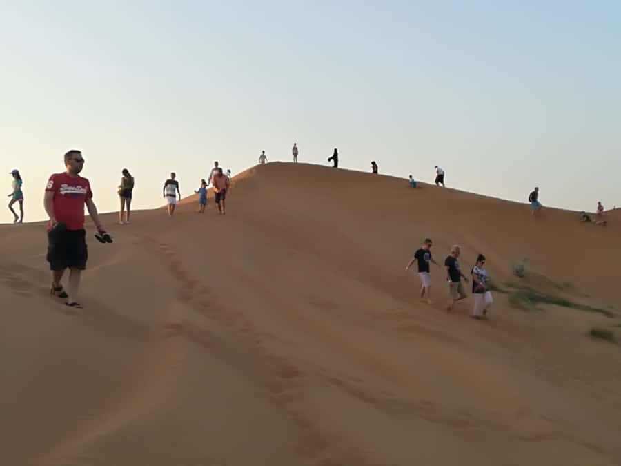 Ras Al Khaimah: Half-Day Desert Safari with Dinner - Sunset Stops Before the Camp