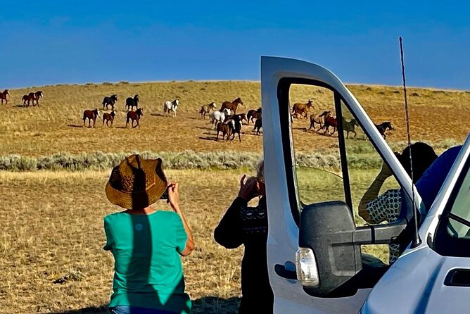 Red Canyon Wild Mustang Tours And Safaris In Cody Wyoming - Roads, rain, and the minivan question
