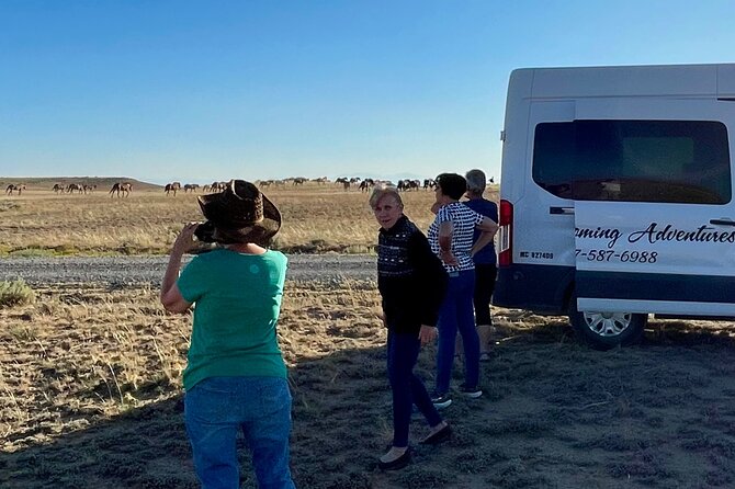 Red Canyon Wild Mustang Tours And Safaris In Cody Wyoming - Who will enjoy this Cody outing