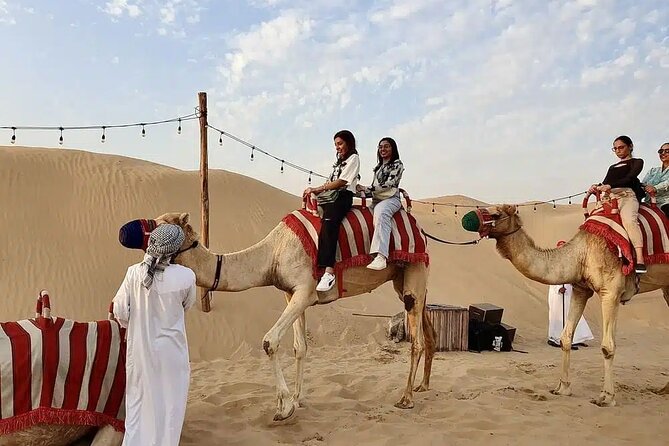 Red Desert Safari With Camel Ride & Sand Skiing - A short camel ride, with one important catch