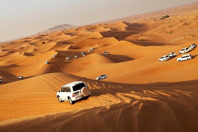 Red Dune Evening Desert Safari with BBQ Dinner - Key points to know before you book