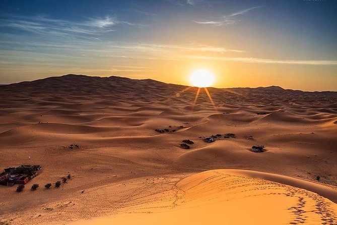 Red Dune Safari Adventure with BBQ Dinner Experience - BBQ dinner and shows after dark