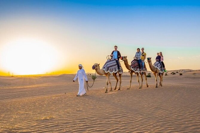 Red Dunes Desert Safari with 4x4 Pick up & Drop, Camel ride, BBQ and Live shows - Camel riding and the Bedouin camp