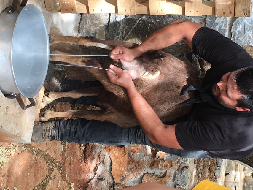 Rethymno 4x4 Safari: Tastes & Farm Experience - What this seven-hour day is really about
