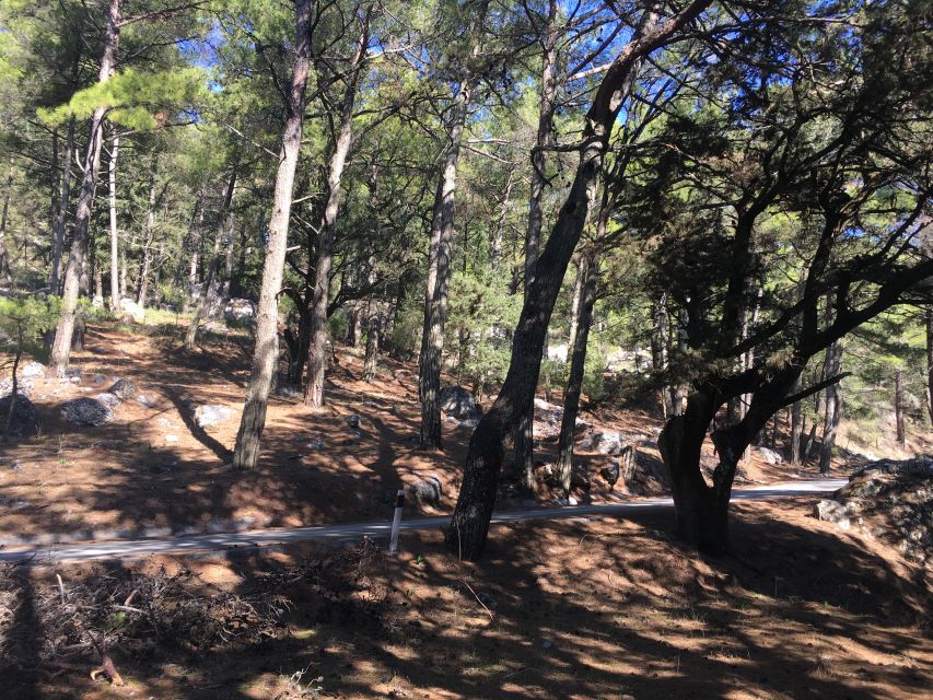Rhodes: Full–Day 4WD Northern Safari Tour - The German and Italian wartime route