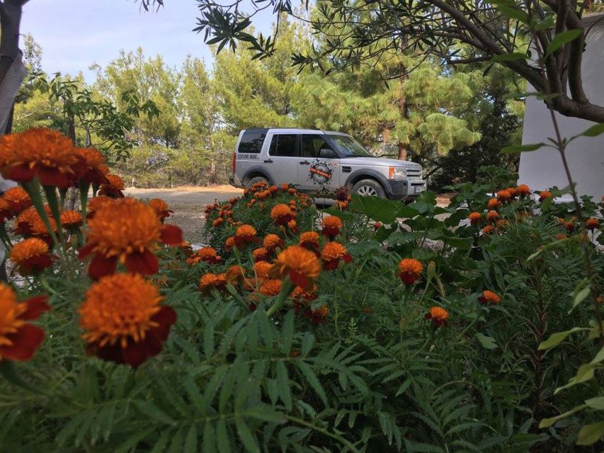 Rhodes: Full–Day 4WD Northern Safari Tour - The easier road back to your hotel