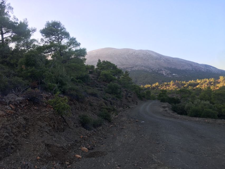 Rhodes: Full-Day 4WD Southern Safari Tour - Practical advice for a smoother day