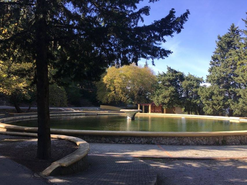 Rhodes: Full-Day 4WD Southern Safari Tour - Koufou Forest and the Aegean view