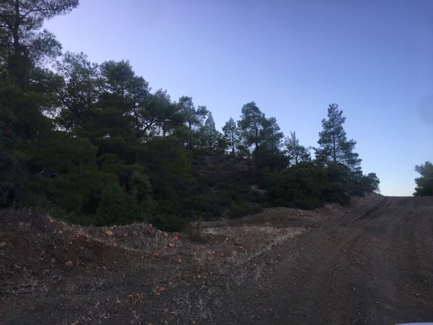 Rhodes: Full-Day 4WD Southern Safari Tour - Is $159 good value for eight hours?