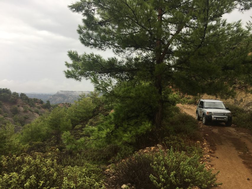 Rhodes North Safari: Hidden Paths & Scenic Flavors - A full day on Rhodes, with the road doing much of the work