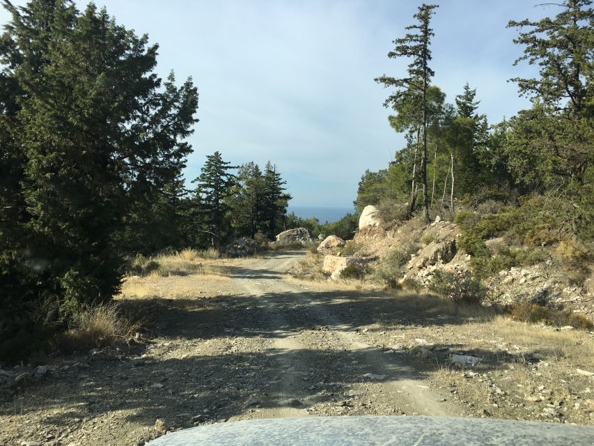 Rhodes North Safari: Hidden Paths & Scenic Flavors - Mineral Fossils: a short stop with a different side of Rhodes