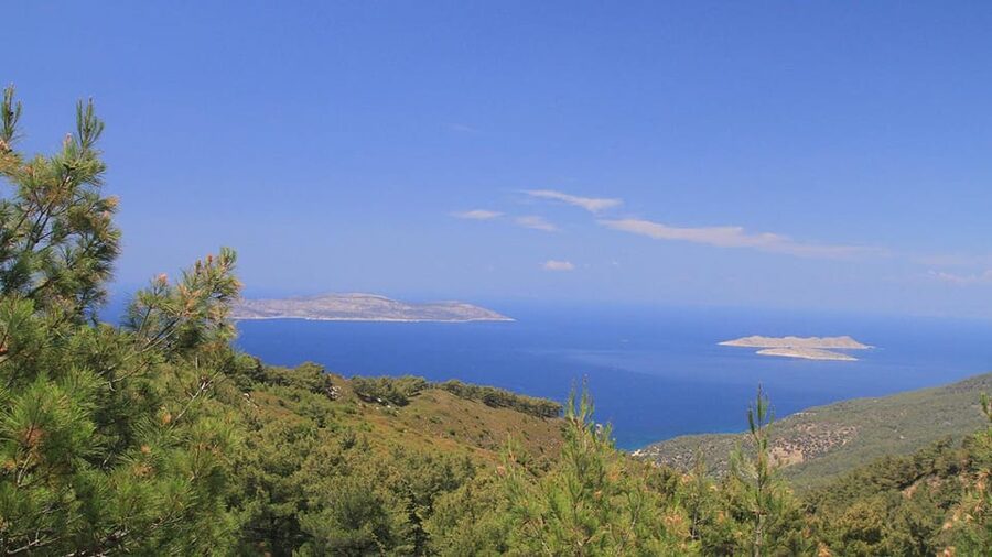 Rhodes: Self Drive 4x4 safari - Pick ups South - Why this safari feels different from a bus tour