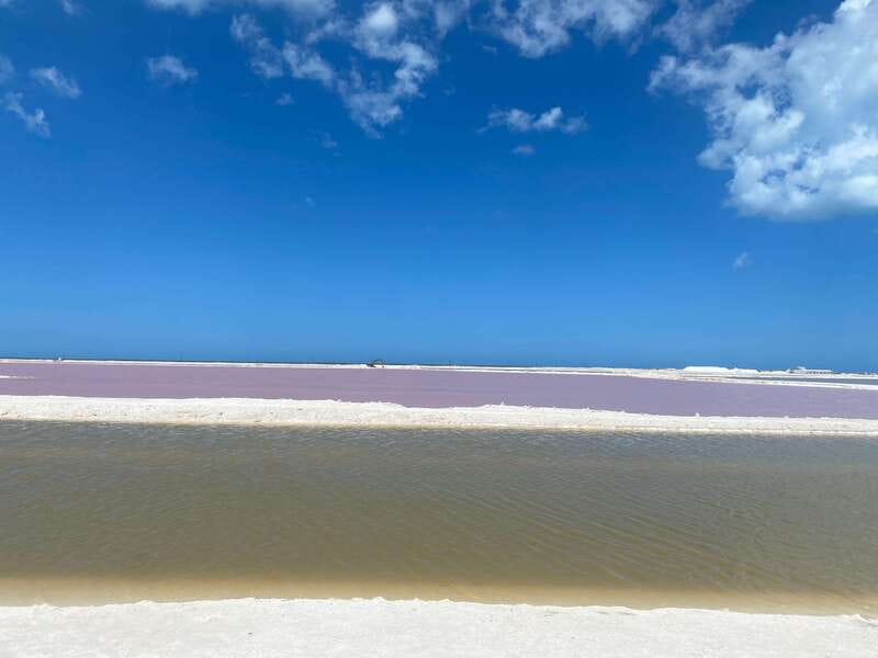 Rio Lagartos and Las Coloradas: EcoSafari Flamingo classic - Key points at a glance