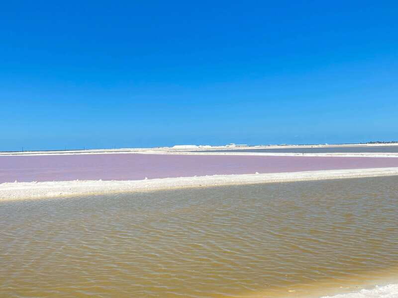 Rio Lagartos and Las Coloradas: EcoSafari Flamingo classic - The clay bath and a quiet Gulf beach