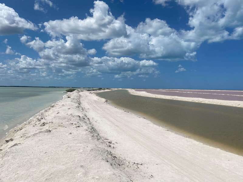 Rio Lagartos and Las Coloradas: EcoSafari Flamingo classic - Mangrove channels and the first wildlife stops