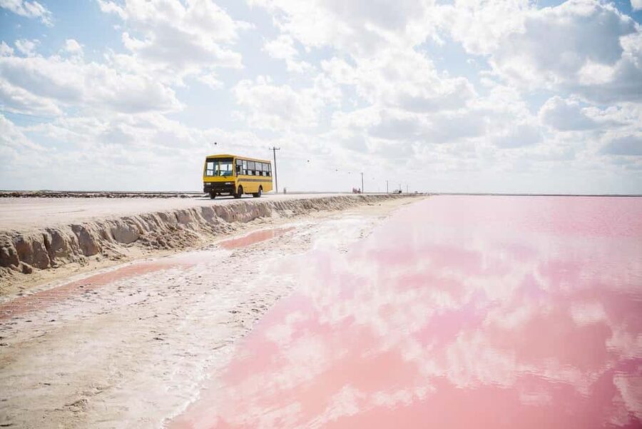 Rio Lagartos and Las Coloradas: Safari Flamingo Luxury - The guides make the outing work