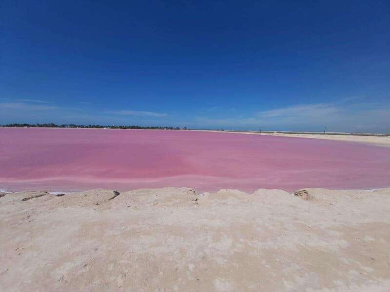 Rio Lagartos and Las Coloradas: Safari Flamingo Luxury - A private morning in Río Lagartos