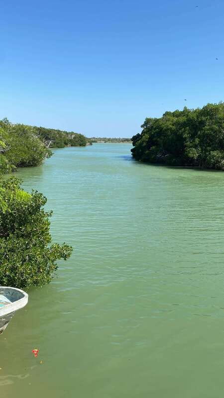 Rio Lagartos and Las Coloradas: Safari Flamingo Luxury - Crocodiles in their natural setting