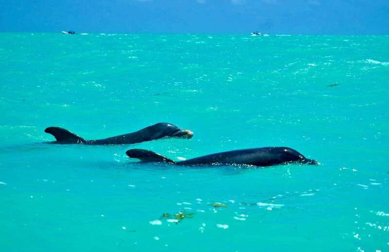 Rio Lagartos and Las Coloradas: Safari Flamingo Luxury - Las Coloradas and its changing pink lagoons