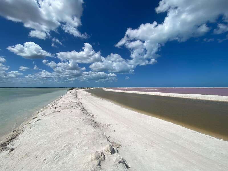 Rio Lagartos and Las Coloradas: Safari Flamingo Luxury - Why the private format matters