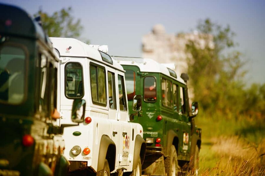 Safari 4x4 in Camargue / VIP Tour 3h30 / Grau du Roi - Key points at a glance