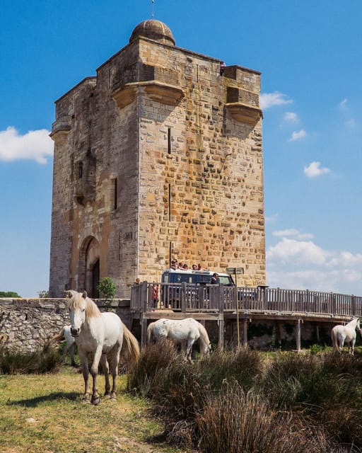 Safari 4x4 in Camargue / VIP Tour 3h30 / Grau du Roi - Meeting bulls and horses at a manade