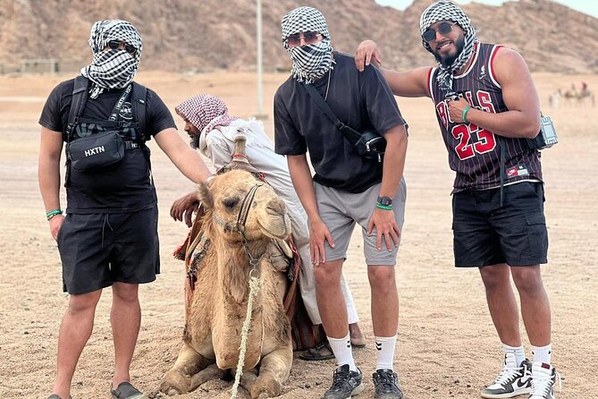 Safari 5 in 1 Quads, Camels, Show, Dinner & Star Gazing in Sharm El Sheikh - What the $50.97 price really buys you