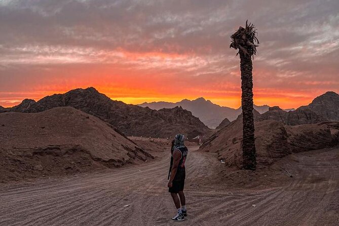 Safari 5 in 1 Quads, Camels, Show, Dinner & Star Gazing in Sharm El Sheikh - BBQ dinner at the desert camp