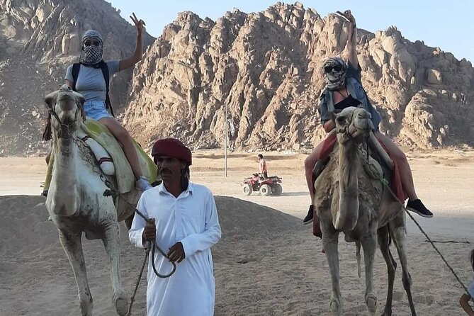 Safari 5 in 1 Quads Camels Star Gazing in Sharm El Sheikh - Bedouin tea, camel riding, and fresh bread