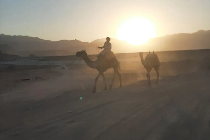 Safari 5 in 1 Quads Camels Star Gazing in Sharm El Sheikh - Telescope stargazing in the Sinai night
