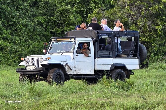 Safari Adventure in Minneriya national Park Sri Lanka - Why Minneriya Is Worth Your Morning