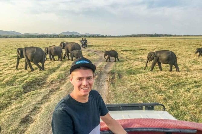 Safari Adventure in Minneriya national Park Sri Lanka - What the Guide Adds