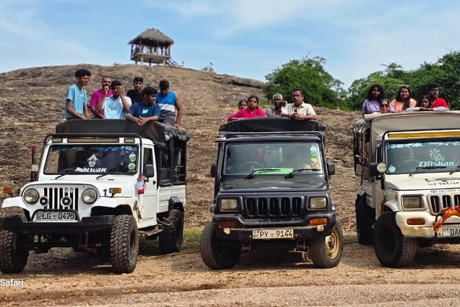 Safari Adventure in Minneriya national Park Sri Lanka - The 6:00 am Pickup and Private Jeep