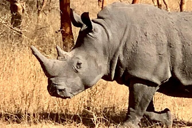safari at the bandia reserve - Who will enjoy Bandia most