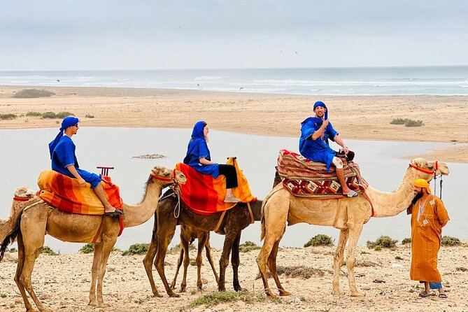Safari Camel Ride in Banana Beach from Agadir - Key points to know before you book
