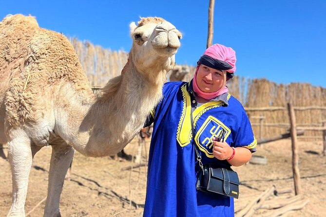 Safari Camel Ride in Banana Beach from Agadir - What the $29.22 price really covers