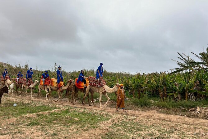 Safari Camel Ride in Banana Beach from Agadir - How the experience feels for families