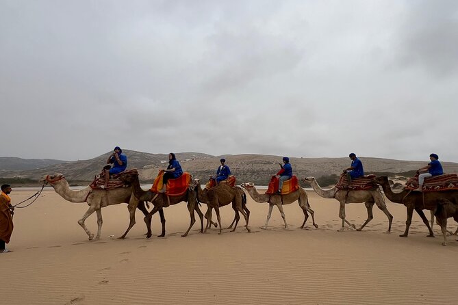 Safari Camel Ride in Banana Beach from Agadir - Choosing your camel at the ranch